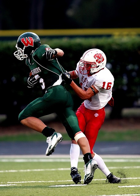 这一举措使 这一举措使